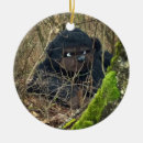 Suche nach fuß ornamente Groß
