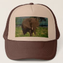 Suche nach elefant kappen Tier