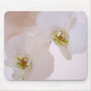 Suche nach weiße orchidee mousepads Natur