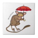Suche nach tarsier Niedlich