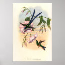 Suche nach vintage biologie poster Botanisch