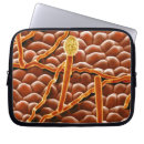 Suche nach biologie laptop schutzhüllen Farbeffekt