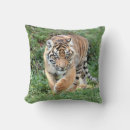 Suche nach tiger foto kissen Natur