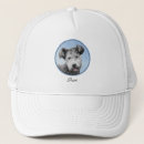Suche nach graue kappen Hund