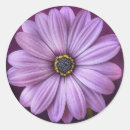 Suche nach tageszeit aufkleber Natur