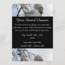 Suche nach pallas postkarten Palas