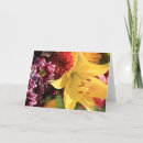 Suche nach amaryllis karten Natur