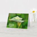 Suche nach calla karten Liebe