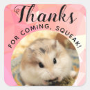 Suche nach niedlicher hamster aufkleber Bezaubernd