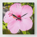 Suche nach rosa hibiskus wanduhren Natur