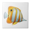 Suche nach korallenriff fliesen Aquarium