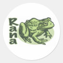 Suche nach rana Amphibie
