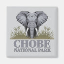Suche nach botswana magnete Elefant
