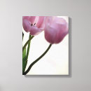 Suche nach elfenbein leinwandbilder Rosa