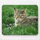 Suche nach wachsamkeit mousepads Nahaufnahme