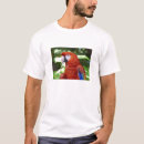Suche nach scharlachrot tshirts Macaw