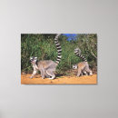 Suche nach lemur kunst poster Afrika