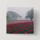 Suche nach rote tulpe buttons Nordamerika