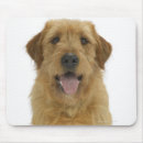 Suche nach weißer hund mousepads Ein tier