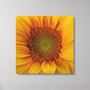 Suche nach garten mit sonnenblumen leinwandbilder Gelb