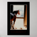 Suche nach clydesdale poster Tiere