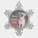 Suche nach glücklicher hund ornamente Foto