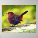 Suche nach spatz poster Wandkunst