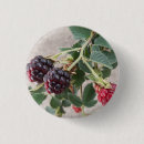 Suche nach reifen buttons Pflanze