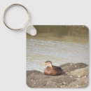 Suche nach stockenten accessoires Tiere