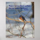 Suche nach buddha quotes poster Inspirational