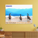 Suche nach seepferd leinwandbilder Natur