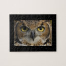 Suche nach augen puzzle Vogel
