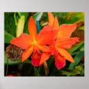 Suche nach helles poster Zuhause