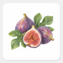 Suche nach feigen aufkleber Frucht