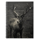 Suche nach pointe kleine notizbücher Punkt