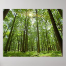 Suche nach nature scene poster Horizontal