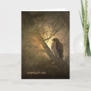 Suche nach raubtier karten Wild