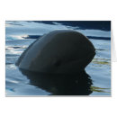 Suche nach orca karten Niedlich