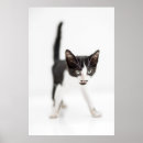 Suche nach babytiere poster Niedliche tiere