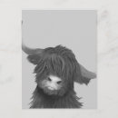 Suche nach büchse poster Natur