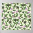 Suche nach belladonna poster Blume