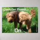 Suche nach piss poster Hund