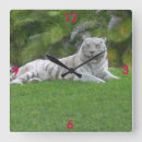 Suche nach wildes tier wanduhren Wildtiere