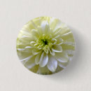 Suche nach chrysantheme buttons Natur