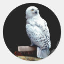 Suche nach hedwig aufkleber Eule