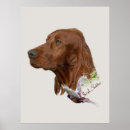 Suche nach irish setter poster Haustier