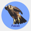 Suche nach wanderfalke aufkleber Vogelvogel
