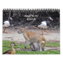 Suche nach känguru kalender Wild lebende tiere