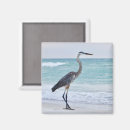 Suche nach strandvogel Tropisch