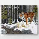 Suche nach tiger fotoplatten Natur